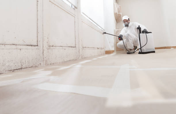24/7 Emergency Mold Cleanup experts in Hendersonville, TN